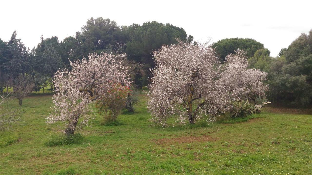 B&B Pirandello Residence Villa Margherita Agrigento Esterno foto